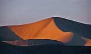 Mesquite Dunes 8914b